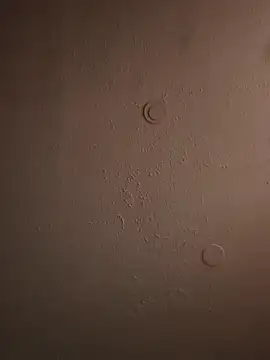 Snapshot of geilerschwanz64 chatting on March 20, 11:49 am geilerschwanz64 online show from March 20, 11:49 am