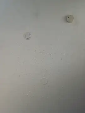 Snapshot of geilerschwanz64 chatting on March 20, 10:18 pm geilerschwanz64 online show from March 20, 10:18 pm