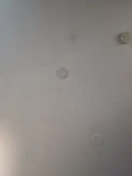 Snapshot of geilerschwanz64 chatting on March 21, 6:05 am geilerschwanz64 online show from March 21, 6:05 am