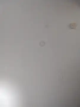 Snapshot of geilerschwanz64 chatting on October 10, 6:01 am geilerschwanz64 online show from October 10, 6:01 am