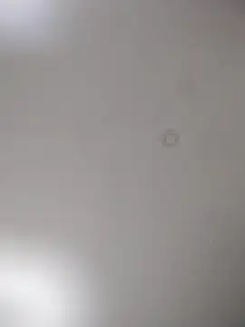 Snapshot of geilerschwanz64 chatting on October 15, 9:59 pm geilerschwanz64 online show from October 15, 9:59 pm