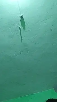 Snapshot of RADHAHO chatting on October 9, 7:23 pm RADHAHO online show from October 9, 7:23 pm