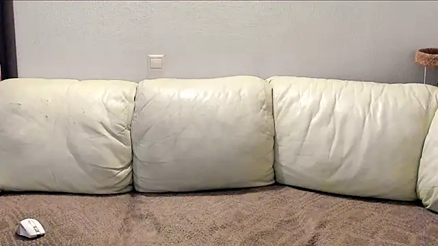 Pawsitive Panther online show from December 2, 8:44 pm