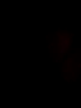 stevenp online show from November 2, 7:22 am