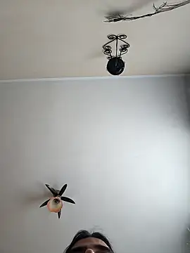 vulpe8400 online show from April 19, 11:09 am