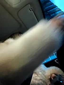 SukyGirl online show from January 4, 5:37 am