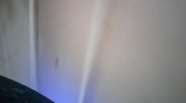 elcobin online show from March 16, 3:58 am