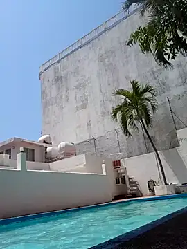 elcobin online show from March 20, 6:31 pm