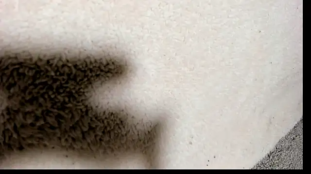 Brock hurn1 online show from September 15, 2:00 am