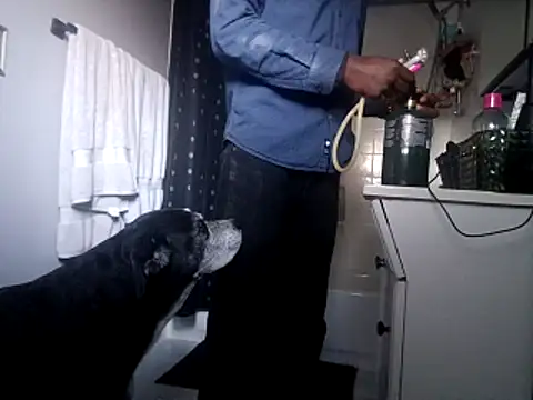 Snapshot of DevinToore chatting on October 31, 10:33 pm DevinToore online show from October 31, 10:33 pm