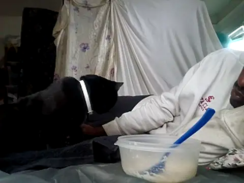 Snapshot of DevinToore chatting on December 15, 6:01 pm DevinToore online show from December 15, 6:01 pm