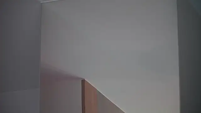 Snapshot of DreamSofia chatting on March 15, 12:24 pm DreamSofia online show from March 15, 12:24 pm