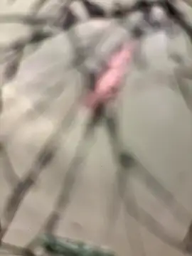 lescro95  online show from December 14, 3:28 pm