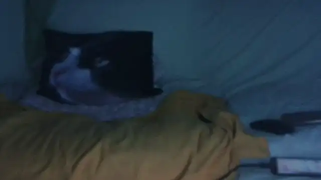 VeneRed online show from September 17, 8:21 pm