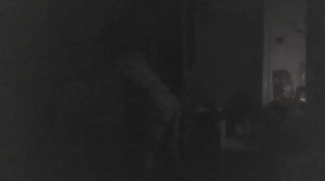 Just Gabriella online show from March 17, 1:18 pm