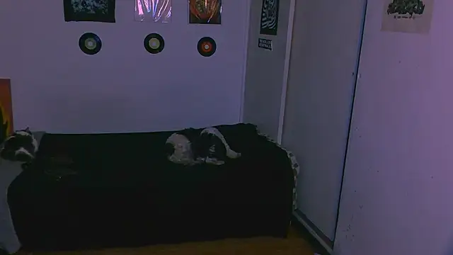 alex one888 online show from November 9, 11:03 pm