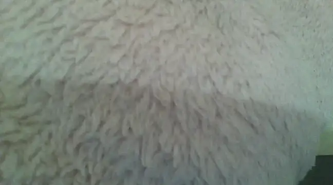 samanta0033 online show from December 2, 9:17 pm