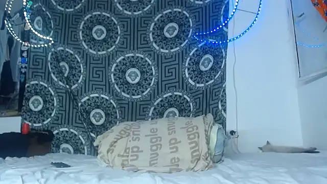 Adam hard  online show from November 26, 11:28 pm