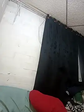 georgia oli online show from February 9, 12:39 am