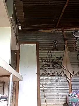 tayson  online show from February 8, 3:00 pm