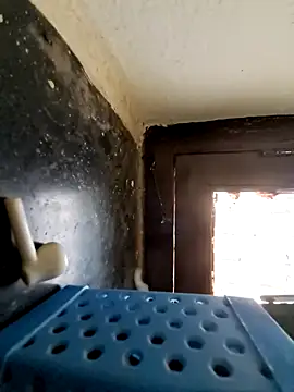 Snapshot of hot_telugu_dickK07 chatting on December 10, 7:37 am hot telugu dickK07 online show from December 10, 7:37 am