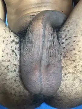 the bigwc online show from December 13, 1:22 pm