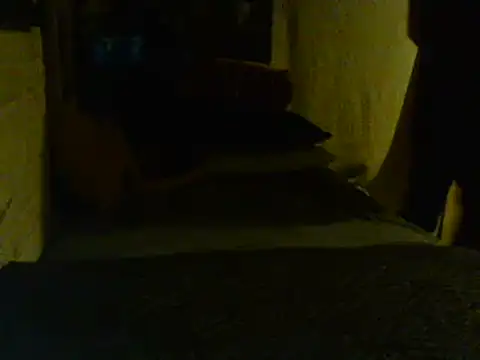 Gman143187 online show from February 2, 9:08 am