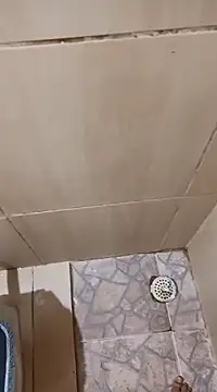 Snapshot of 1995eduardo chatting on February 21, 1:22 pm 1995eduardo online show from February 21, 1:22 pm