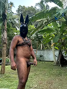 DragonLover 93 online show from December 1, 11:26 am