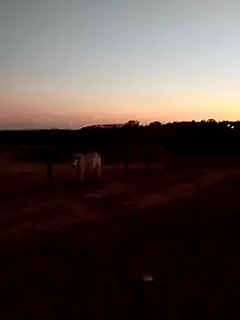 Leocesar37 online show from September 14, 9:36 pm