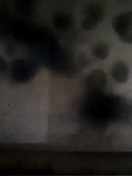 Snapshot of Leocesar37 chatting on April 24, 4:31 pm Leocesar37 online show from April 24, 4:31 pm