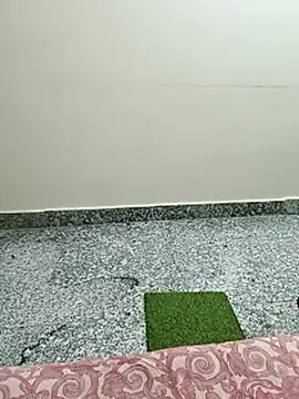 Saroj-Shah online show from March 10, 5:07 pm