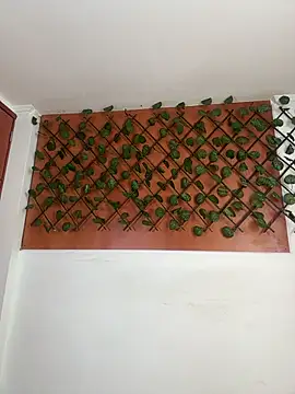 Emily Trujillo online show from November 8, 5:34 pm