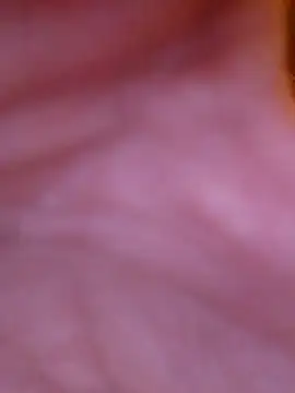 Freddyking146f online show from November 30, 1:42 am