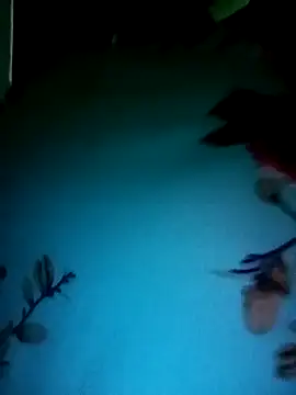 gunjan22 online show from December 31, 5:22 am