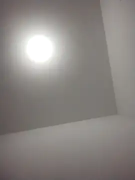 Snapshot of barboza991 chatting on December 28, 11:48 pm barboza991 online show from December 28, 11:48 pm