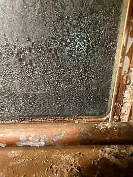 alienbunny online show from January 11, 5:52 am