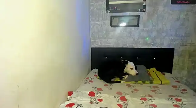 danna sofiah online show from February 18, 3:32 pm