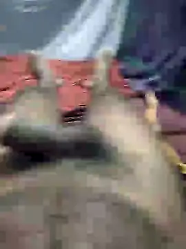 mallucallboy2104 online show from January 3, 8:32 pm