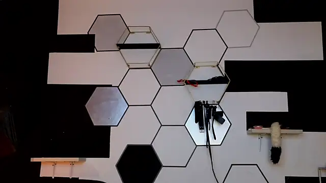 haileycat online show from February 14, 3:33 am