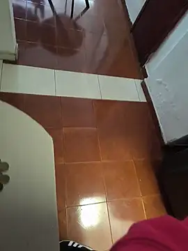 Dyr08 online show from November 10, 5:01 pm