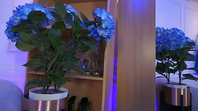 elasummer online show from February 4, 2:23 pm