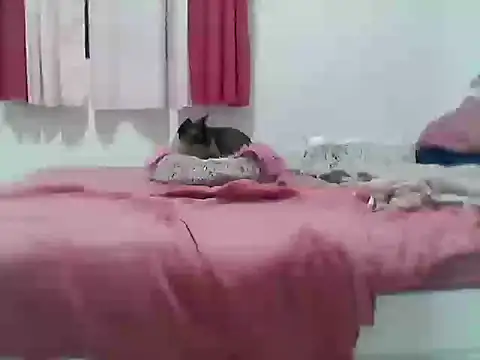 Snapshot of kslmi_au-sts chatting on September 13, 11:04 pm kslmi au-sts online show from September 13, 11:04 pm