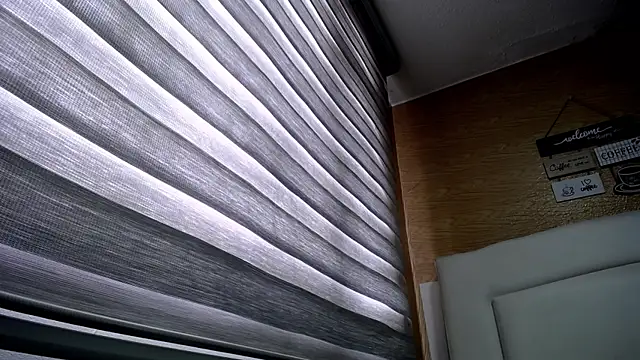 palmer mIix online show from December 2, 3:14 pm