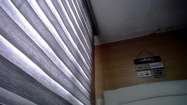 palmer mIix online show from December 10, 2:17 pm