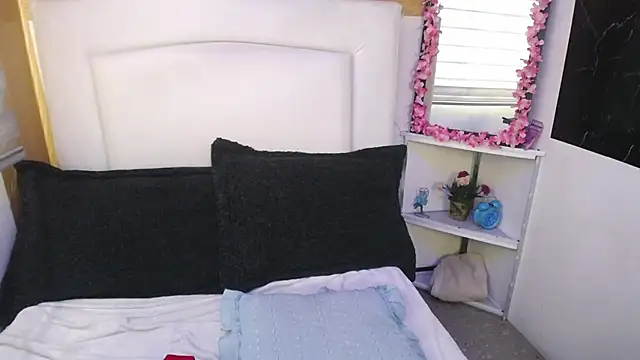 palmer mIix online show from December 30, 1:47 pm