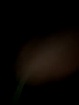 satrr xxx online show from September 29, 8:24 pm