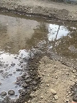 satrr xxx online show from October 10, 10:14 am