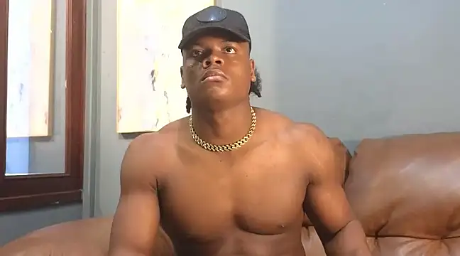 Snapshot of JoshLoganx chatting on December 6, 1:33 pm JoshLoganx online show from December 6, 1:33 pm