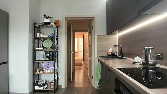 jainesummer online show from November 11, 7:52 am